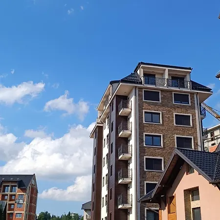 Plavi Bor Zlatibor
