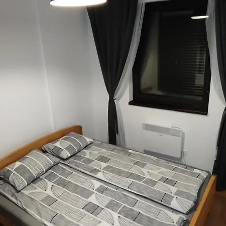 Apartment Plavi Bor *