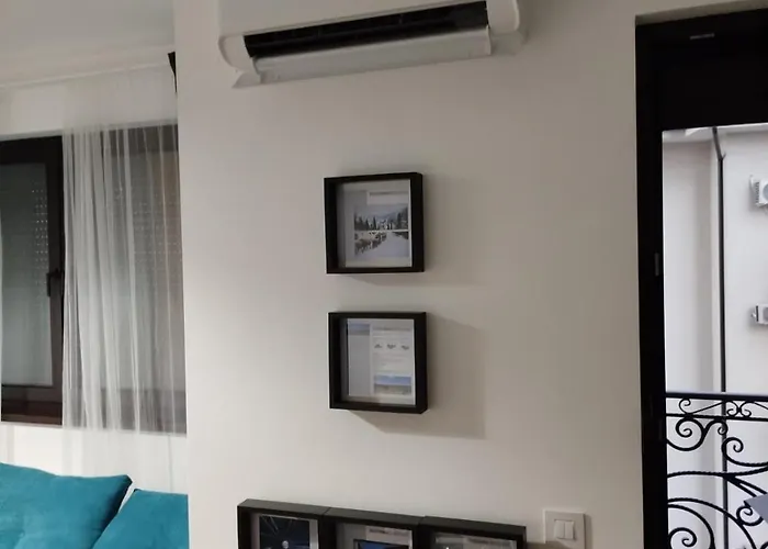 Plavi Bor * Zlatibor